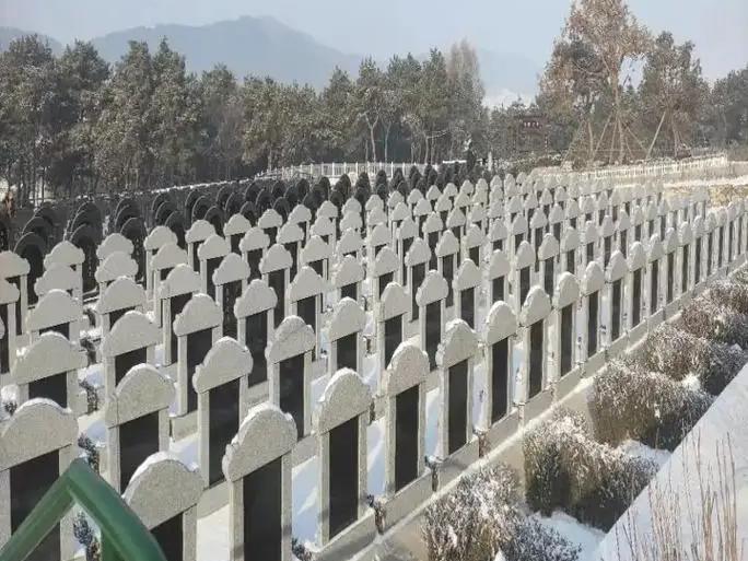 通州到林园公墓路线